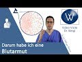 Anämie: Wieso können wir Alle eine Blutarmut bekommen? Ursachen, Symptome & Behandlung