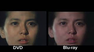 Sukeban Deka ll - Shoujo Tekkamen Densetsu 'HD' version comparison