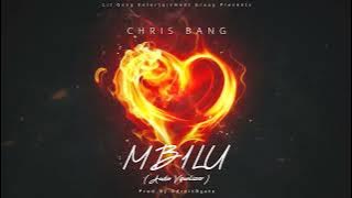 Chris Bang_Mbilu(Visualizer)