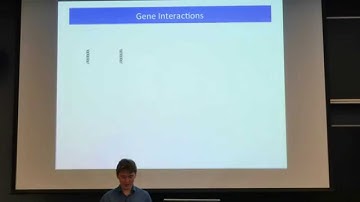 Finding Network Motifs, Vrushali Fangal, Bulat Gabbasov, Ivana Stevens