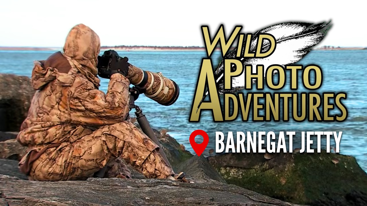 Barnegat Jetty | Wild Photo Adventures (Season 5 Episode 1)