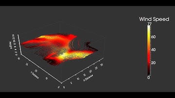 Wind Speed - ParaView Streamline/Glyph Animation