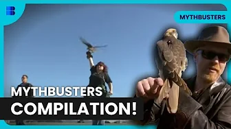 Can Quicksand Actually Kill You? | MythBusters | Science Documentary
