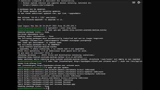 My Mina Testworld Mini Vlog (updating my node to the latest version)