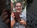 tônico digestivo do fruto da jurubeba com cachaça #plantas