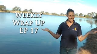 TIMES ARE BUSY- Weekly Wrap Up Episode 17