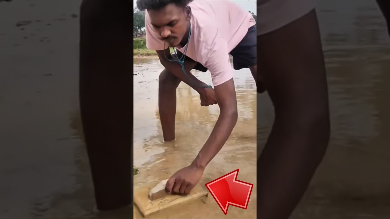 Amazing Workers 🤩👷 Amazing Skills in Action! 