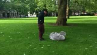 Elephant Diaries The Fight