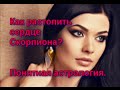 Как растопить сердце  Скорпиона?// Правдивая астрология.