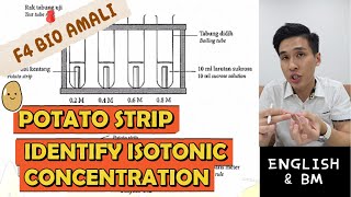 [ENG/BM] F4 BIO SELANGOR AMALI - IDENTIFY ISOTONIC CONCENTRATION (POTATO STRIP)