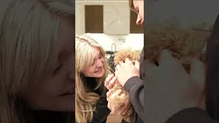 Symfuhny Surprises Brookeab