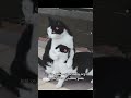 هذيككك لمن تمسك لساني مشان الحسنات