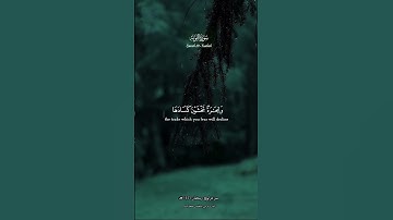 #قرآن #shortvideo #مقطع_قران #quran #تلاوة_خاشعة #islam_video #تلاوات #foryou #اكسبلور #islam