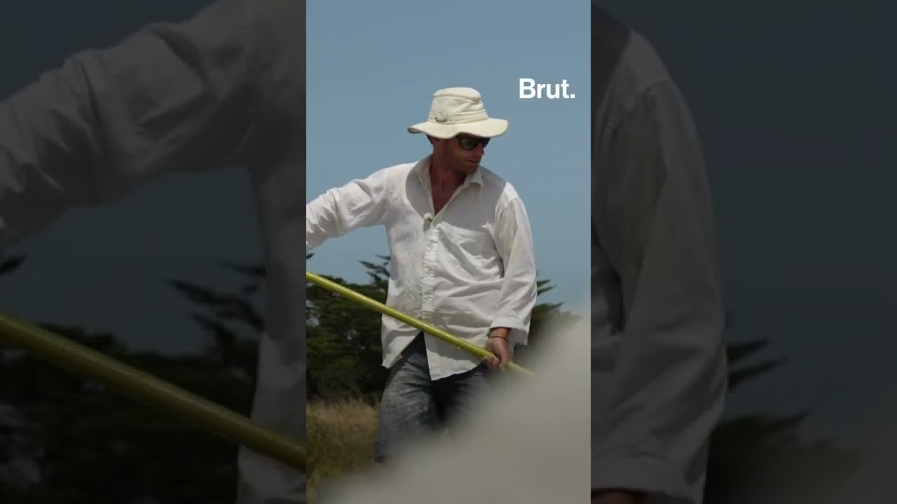 Brut x AFPS vous font découvrir les secrets de la fleur de sel