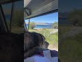 Views from the Traveling Taco, napping by Freemont Lake; Pinedale, WY. #adventuretravel