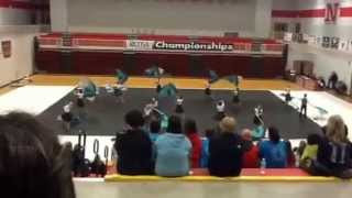 Reeds Spring High School Winter Guard 2015 Championships