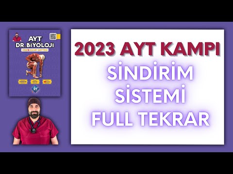 Sindirim Sistemi Genel Tekrar AYT Biyoloji Kampı Konu Anlatımı/ 11.Sınıf 2024 Tayfa