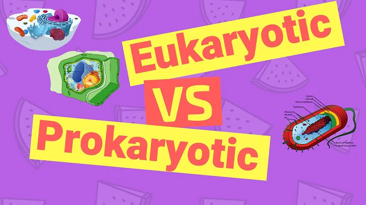 Difference Between Prokaryotic and Eukaryotic Cells - DayDayNews