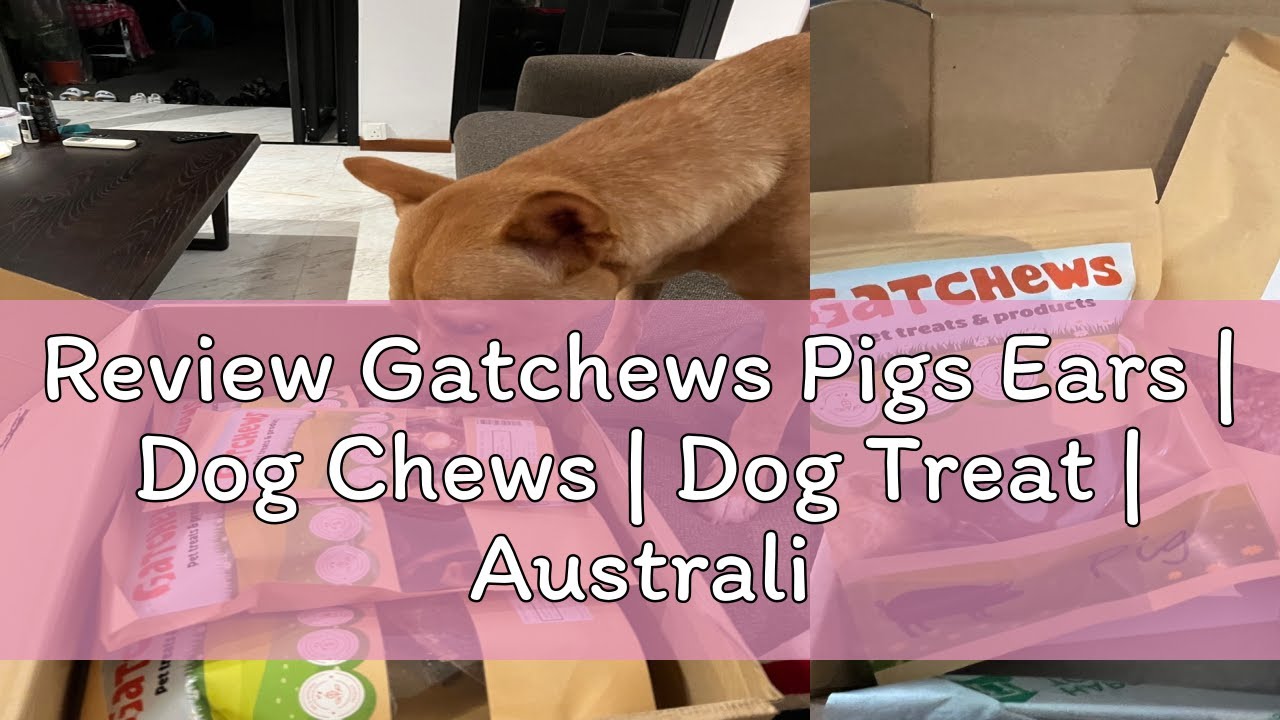Review Gatchews Pigs Ears | Dog Chews | Dog Treat | Australian | Single Ingredient | Natural | Mult