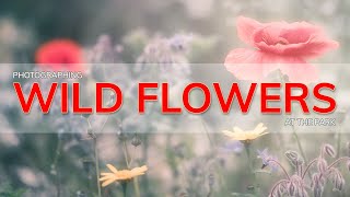 Photographing WILD FLOWERS | Soft Ethereal MACRO Flower Photography | Geoff Moore Photography screenshot 1