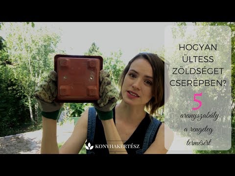 Videó: Zöldségkertészet Írországban: Hogyan ültessünk ír veteményeskertet