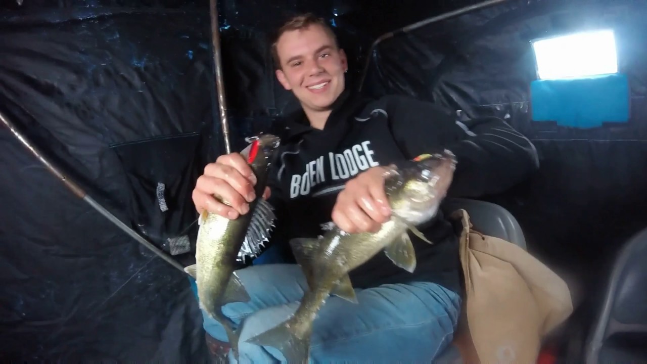 guided walleye fishing trips in minnesota