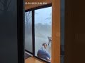 #tornado #cat #weather #tornado #pebble #foryou #viralvideo #tiktokviral #comedy #funny