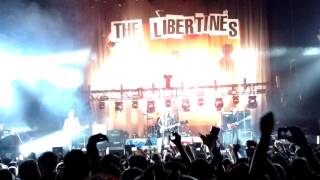 The Libertines - the delaney