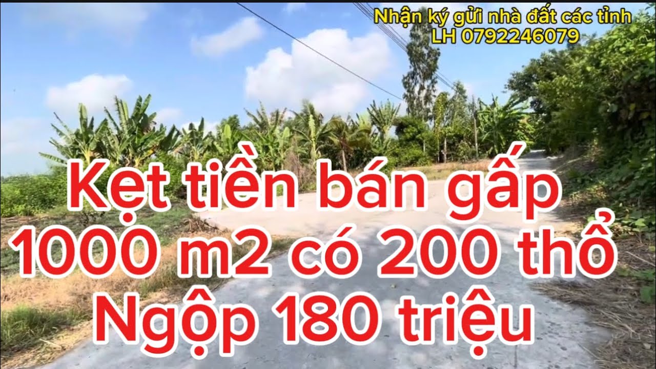 Kẹt Tien bán gấp 1000 m2 co 200 tho cư 180 triệu