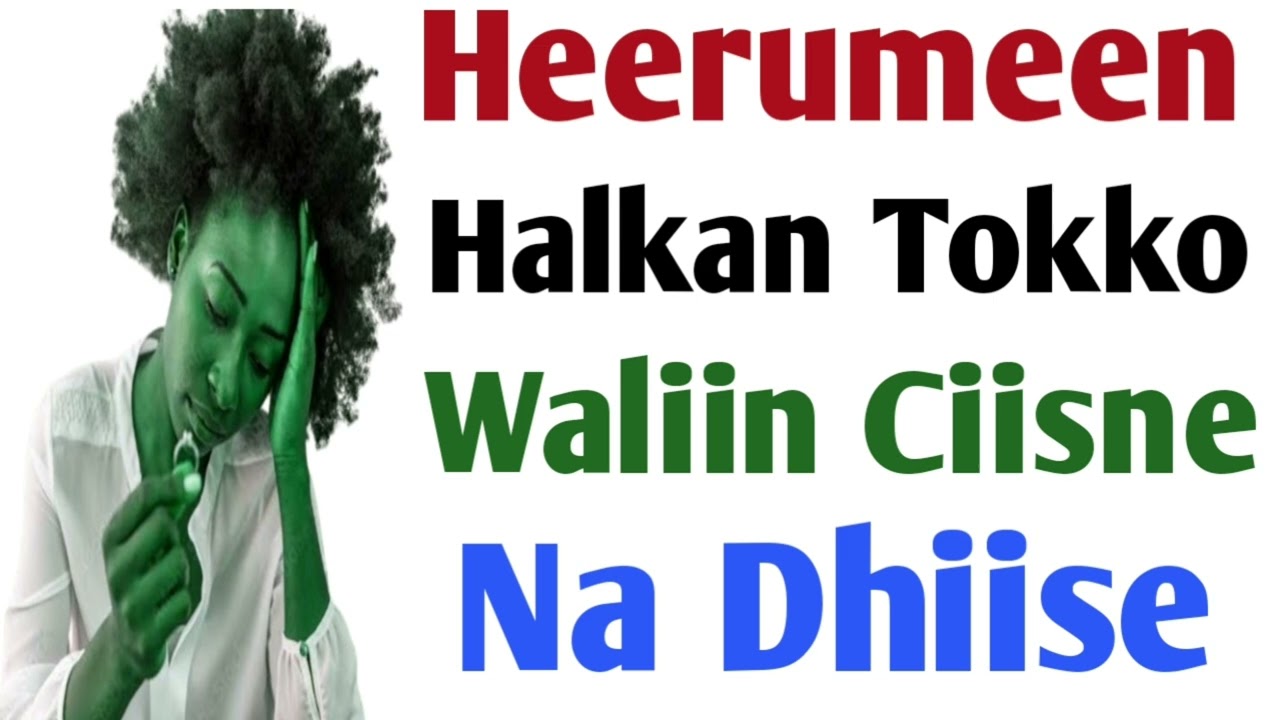 Heerumeen Halkan Tokko Qofa Waliin Ciisne