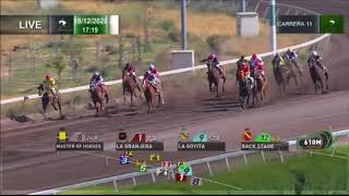 Vidéo de la course PMU PREMIO REAL REGENT