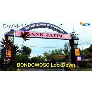 Story Wa Banyuwangi Los Corona👍👍