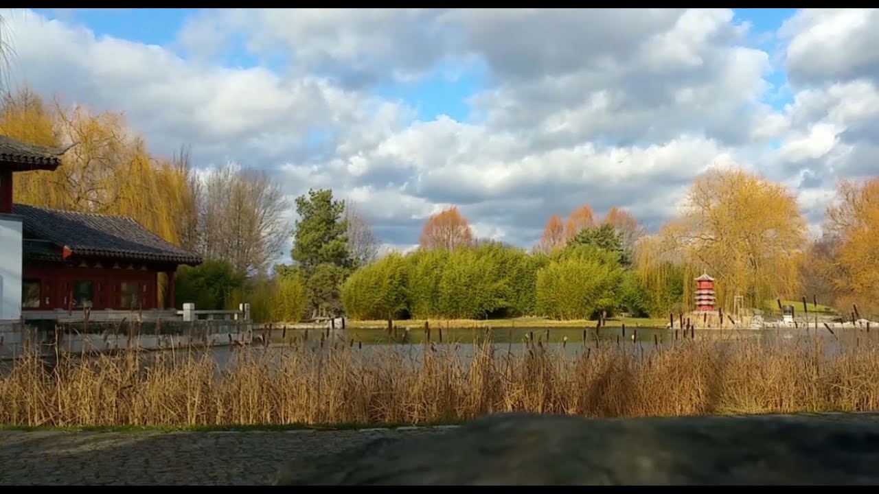 Kienbergpark GdW Februarblues