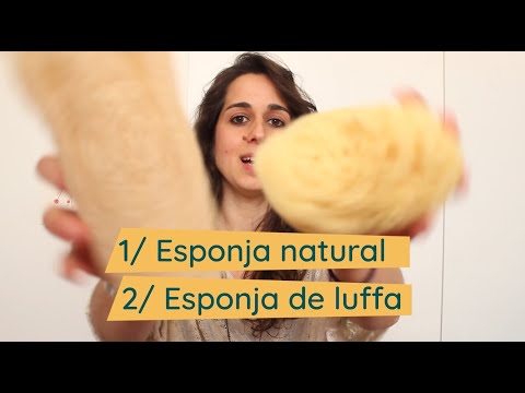 Como Hacer Una Esponja Natural O Vegetal Con Luffa, Experimentos