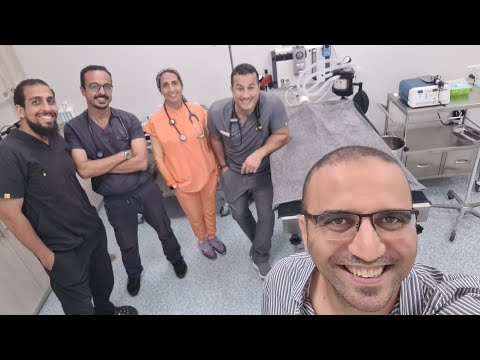 هو ينفع اشتغل و اسافر بعد النافلي ف كندا امريكاواسافر من مصر طب لازم خبره سافرنا سألنا الناس ف كندا