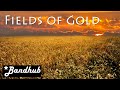 Fields of gold  bandhub cover with b33zo chobanov bud stearn pelletmobile rafamerol  luisband
