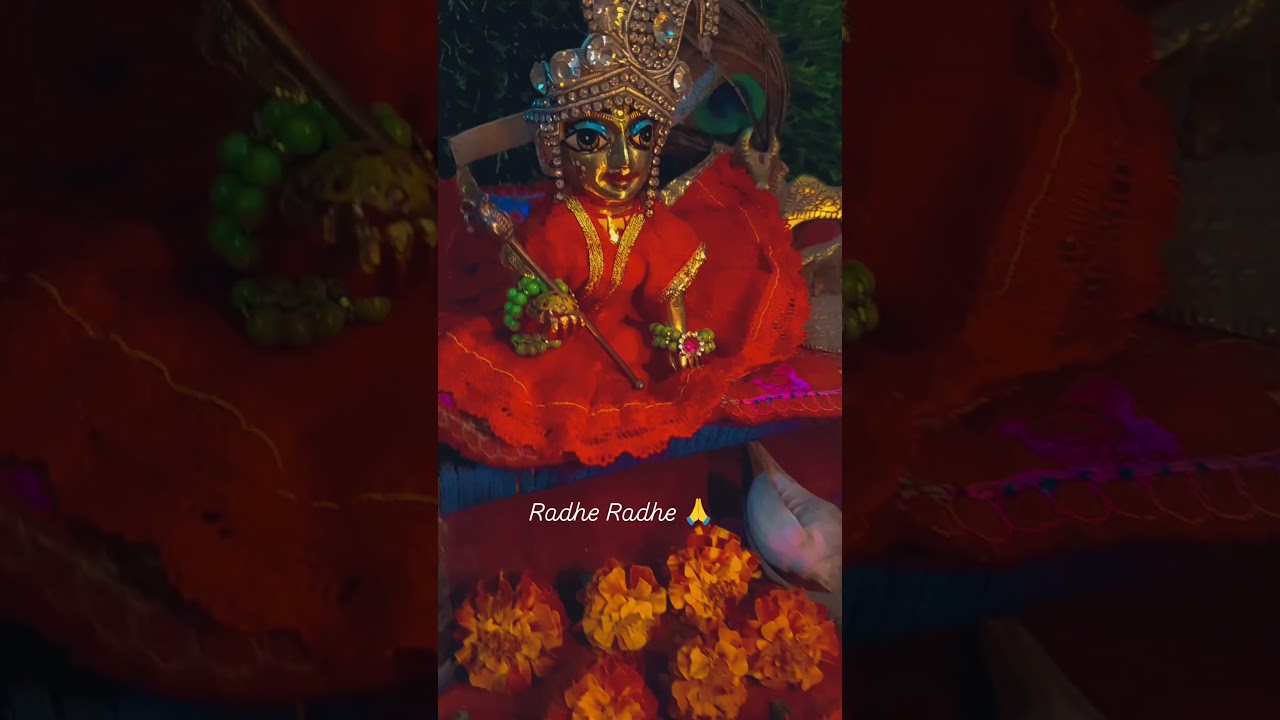 Hare Krishno 🦚🚩🙏#shorts