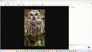 Analyzing Images with Comet AI | AI Image Analysis Tutorial | Mastering Perplexity Comet Wealth