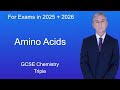 GCSE Chemistry Revision "Amino Acids" (Triple)