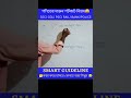সেকেন্ডে উত্তর #shorts #youtubeshort #viral #viralshort