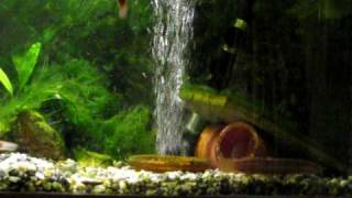 MVI_1037.AVI