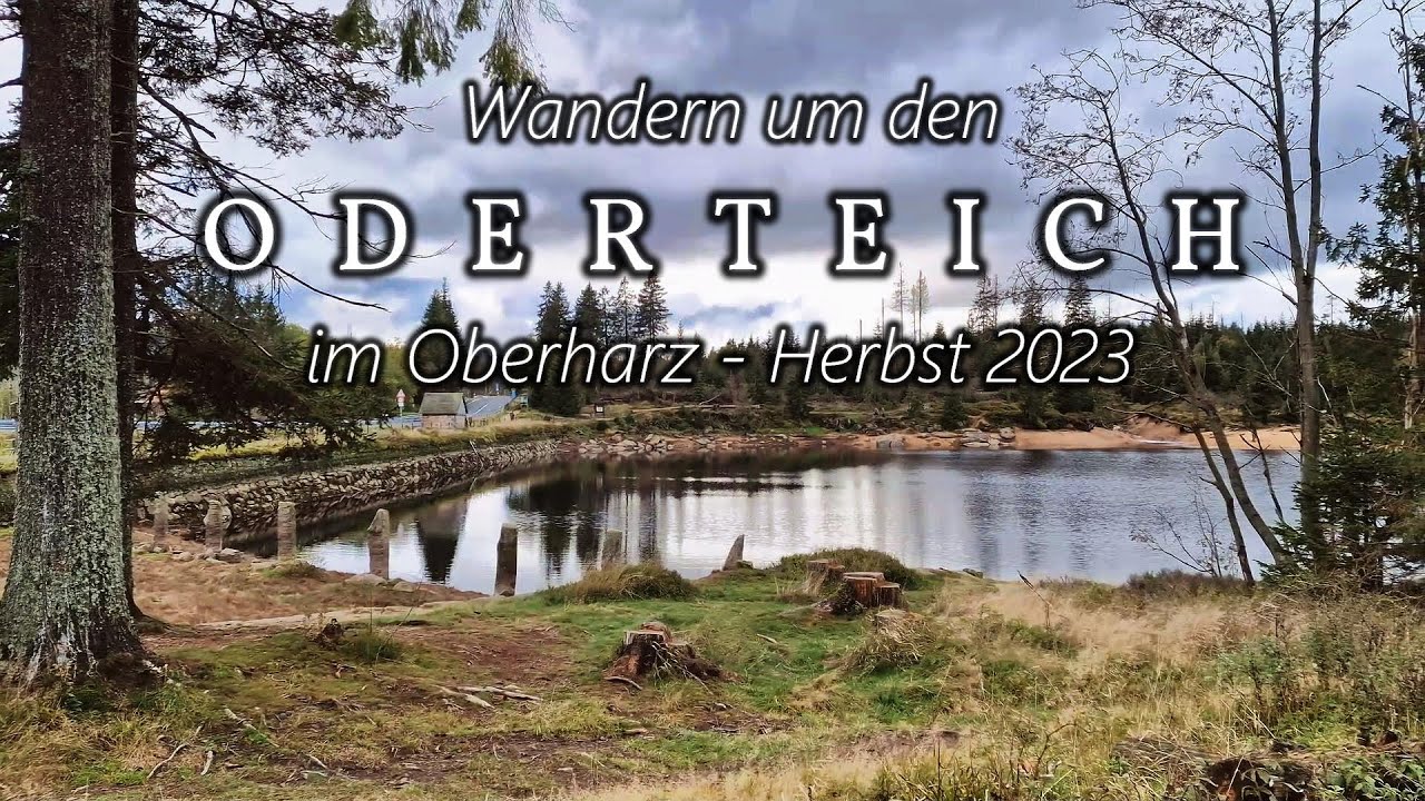ODERTEICH IM OBERHARZ - Wanderung im Herbst 2023 - Harzer Wandernadel Stempelstelle Nr. 217 - 4K