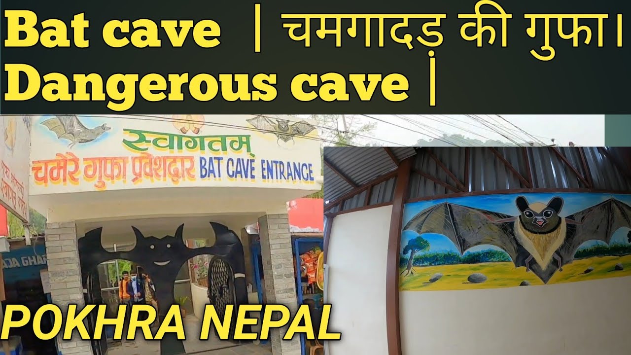 Bat Cave Pokhara Nepal चमगादड़ की गुफा। Dangerous Cave Gufa Youtube