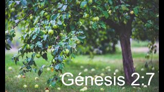 3 MDE Génesis 2:7