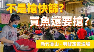 2022-5 新竹明發定置漁場| 現撈魚獲拍賣魚市場| 海山另類漁港 