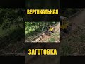 Вертикальная заготовка #лесозаготовка #форвардер #харвестер #logging #ponsse #трактор