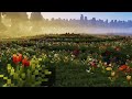 Travel to 30000000 blocks #minecraftshorts #asmr