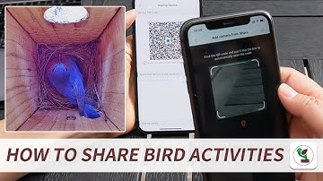 Mastering Bird Box Camera Sharing: Green-Backyard App Guide