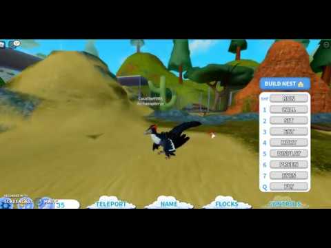 Feather Family Roblox Archaeopteryx