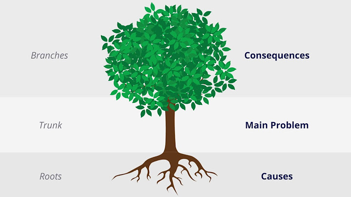 Step 1: Identifying the focal issue with 『Problem Tree Analysis』 technique - 天天要聞